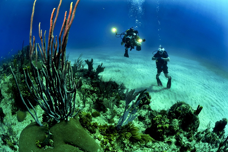 Débuter dans la plongée sous-marine - Mer & Océan