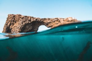 see the ocean by estelle condra see the ocean by estelle condra