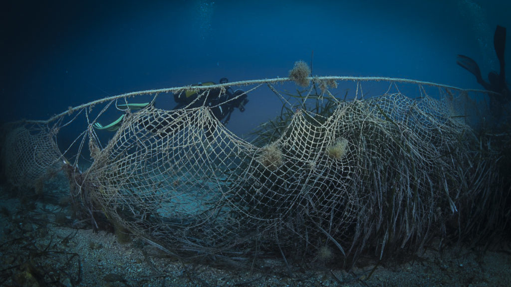 Les filets de pêche fantômes tuent nos océans [Tribune PETA]