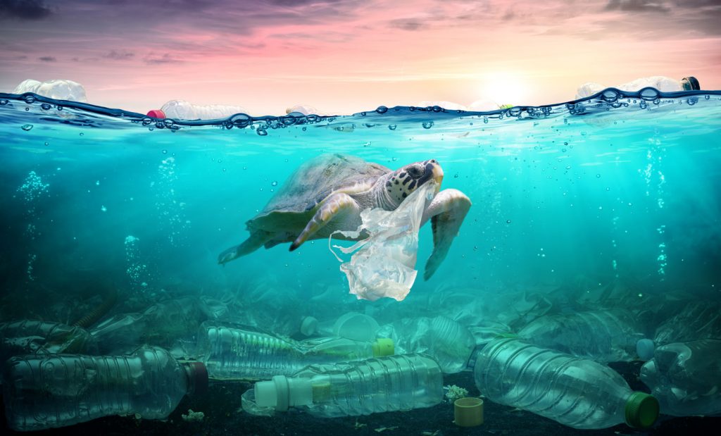 Quelles Actions Pour Limiter La Pollution Marine Mer Oc an Quelles Actions Pour Limiter La Pollution Marine Mer Oc an