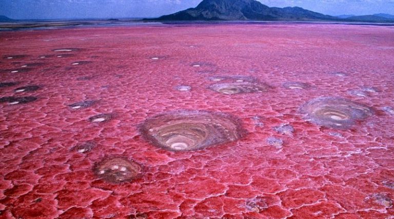 Découvrez notre top 5 des plus beaux lacs roses du monde - Mer & Océan