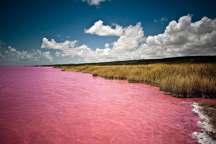 lac retba