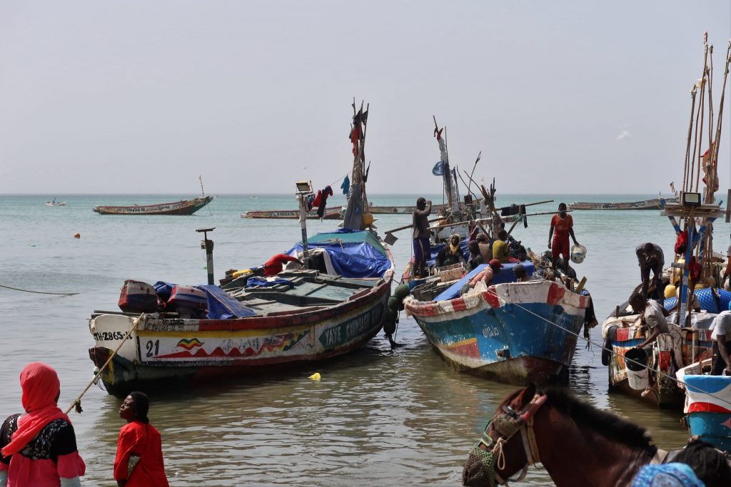 pêche en Afrique