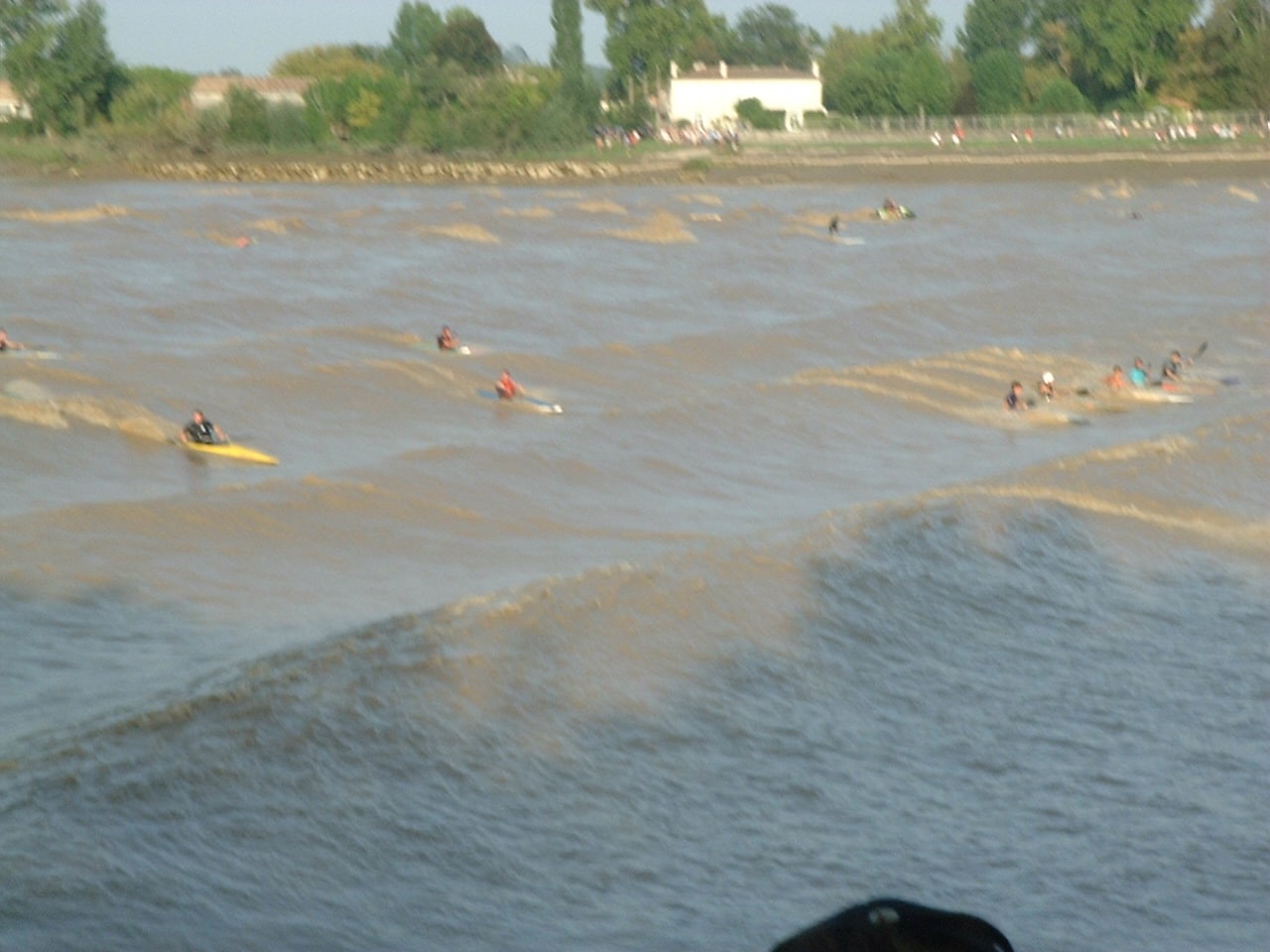 Le front d'onde du mascaret remonte la Dordogne, suivi de kayakistes et de surfeurs
