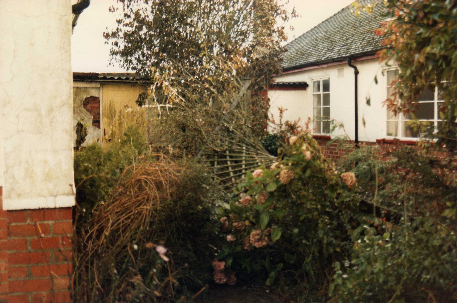 Un jardin dévasté au lendemain de la tempête d'octobre 1987 : clôture arrachée et végétation couchée contre une maison