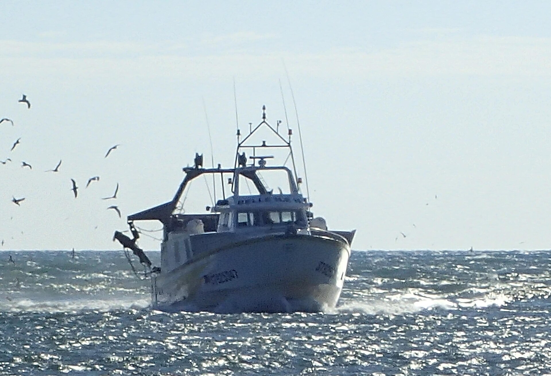 Chalutier méditerranéen rentrant de pêche face à la mer, suivi par une nuée de goélands